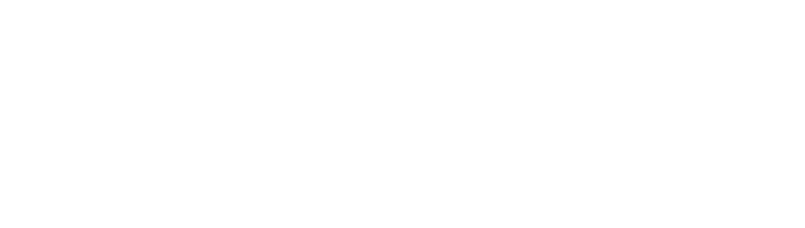 Advanced Motor Development